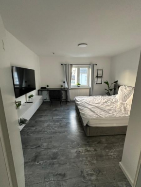 Renovated Room for 2